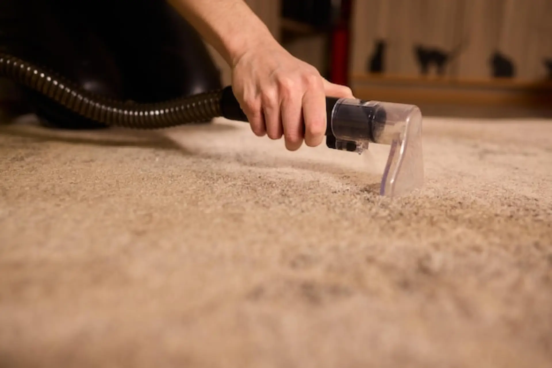 Carpet Cleaning Oxford, Witney or Carterton 