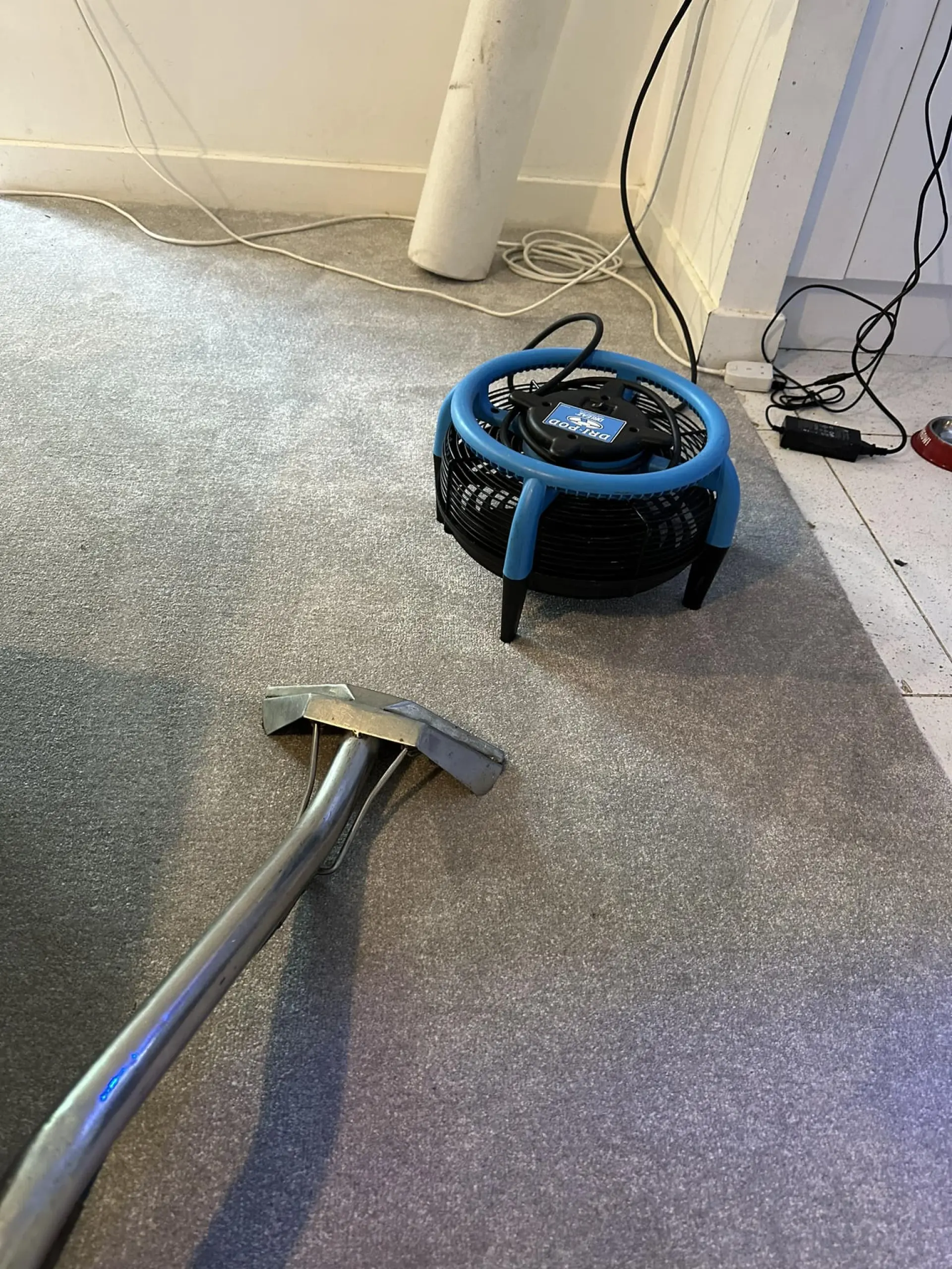 Carpet Cleaning Oxford 